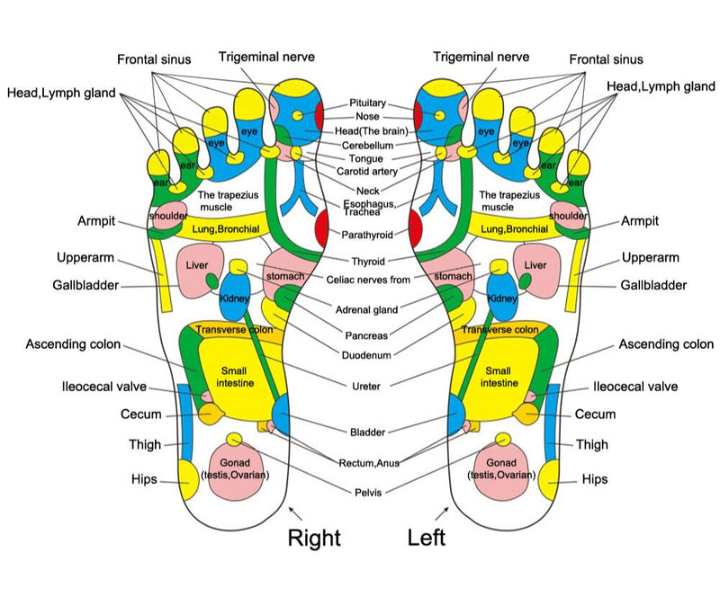 Reflexology Walk Stone Road Foot Massage Mat